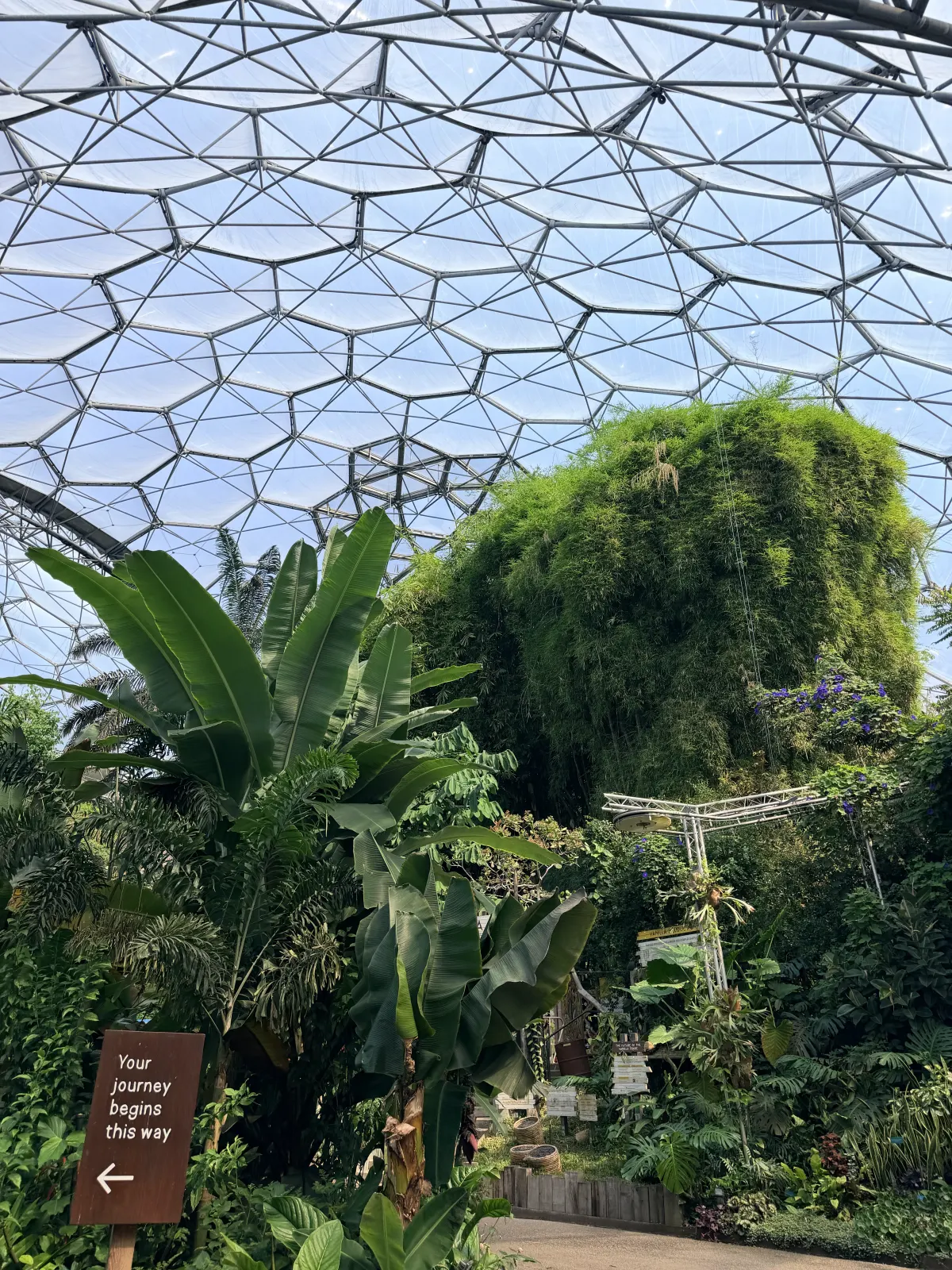 Inside a geodesic dome at the Eden Project, banana leaves and a towering mound of greenery under the hexagonal roof, a wooden sign reading Your journey begins this way.