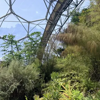 Silvery shrubs and wispy grasses climbing a slope inside a sunlit biome, the steel frame of the dome arching overhead.